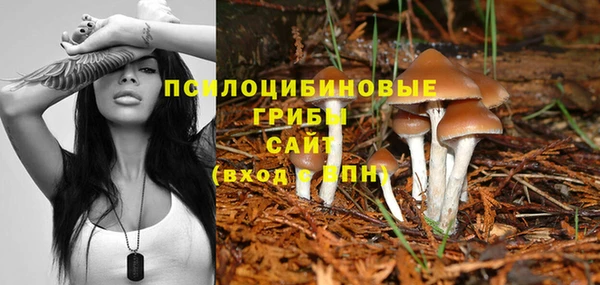 спиды Богородск