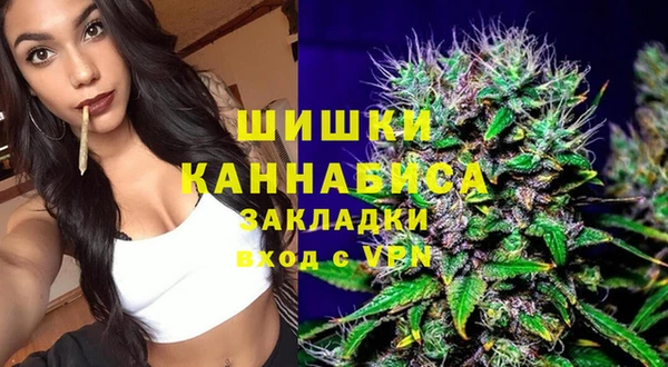 метадон Богданович