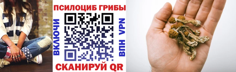 Псилоцибиновые грибы мухоморы Купить Осинники